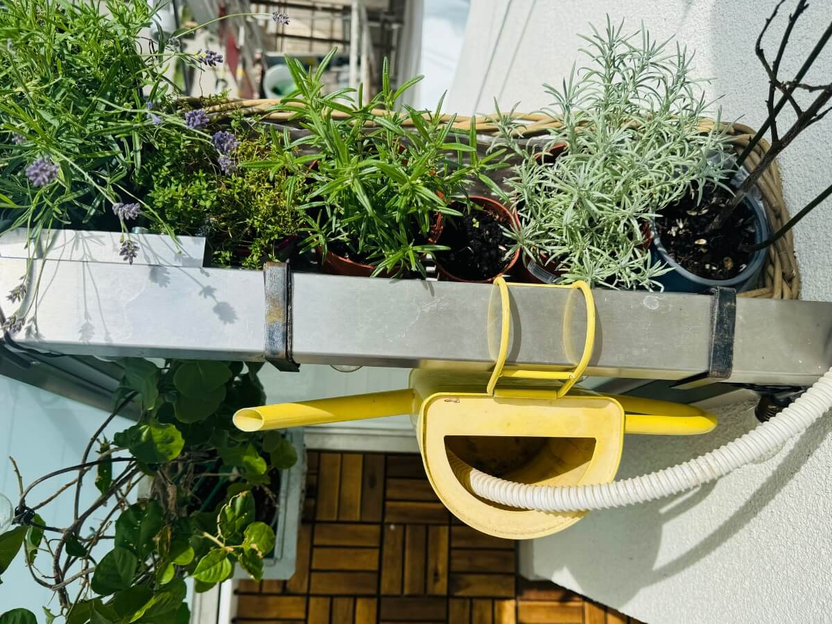 Žltá krhlička zavesená na balkónovom zábradlí pod bylinkami.