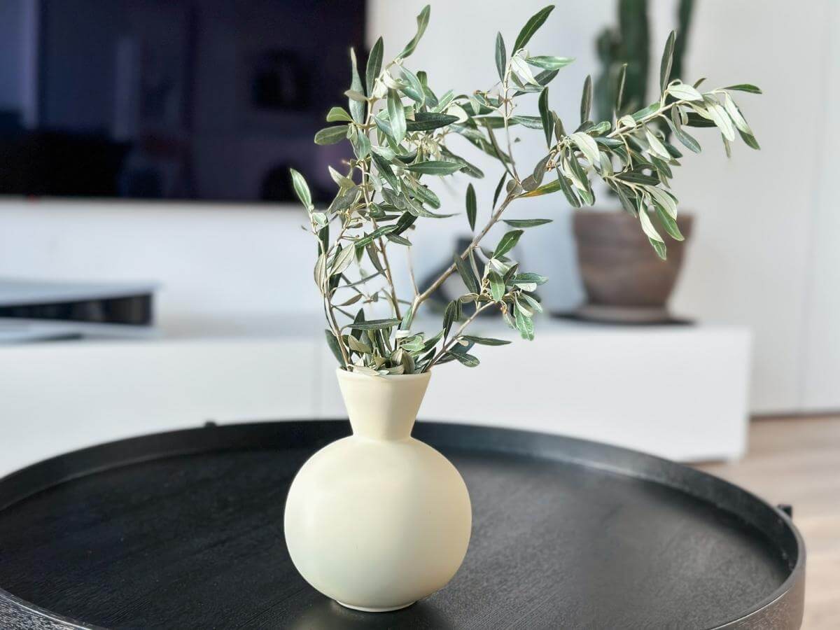 Malá keramická krémová váza s olivovou vetvičkou.