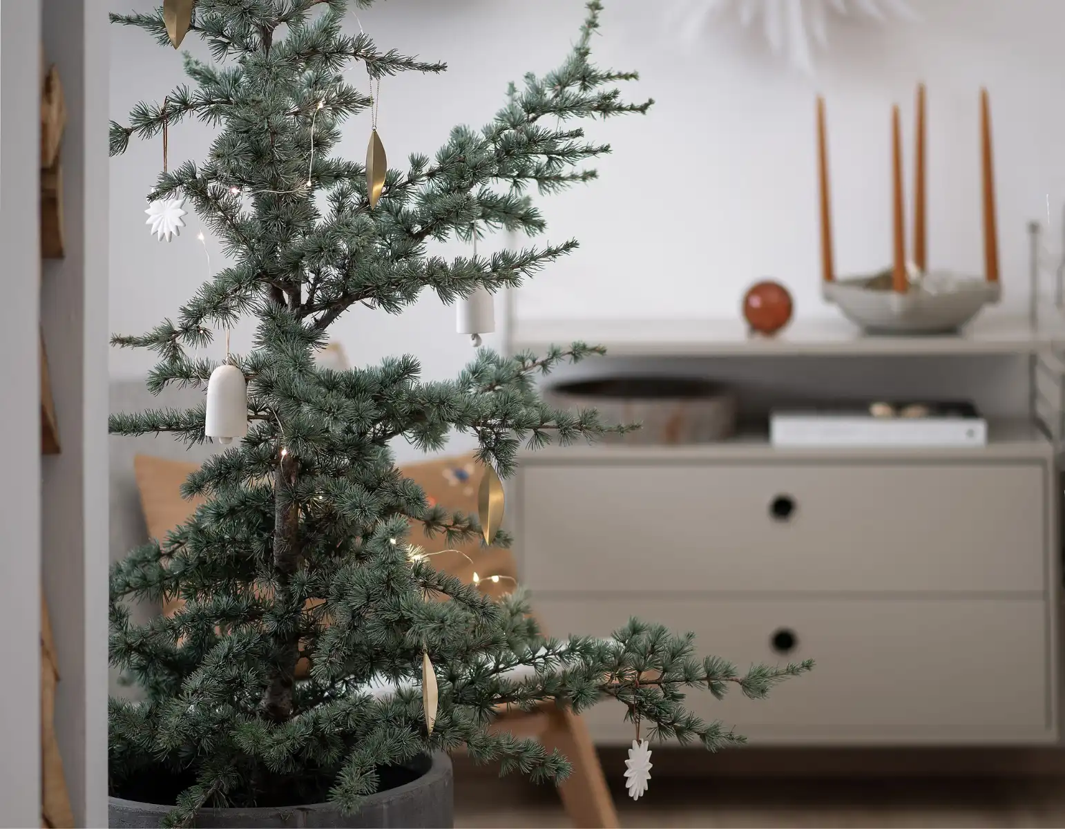 Mosadzné ozdoby v tvare listu zavesené na vianočnom stromčeku