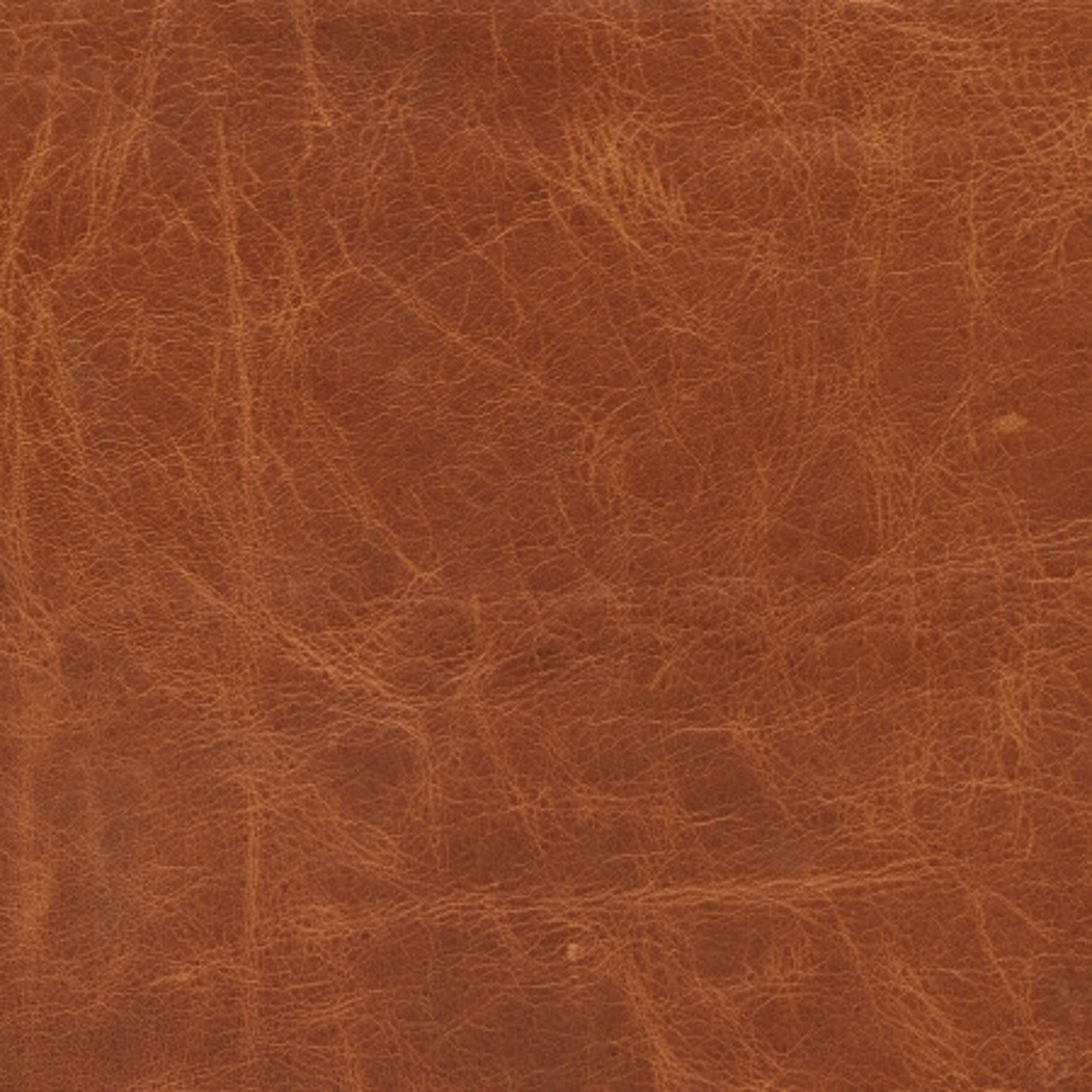 Detailný pohľad na materiál koža v hnedej farbe.