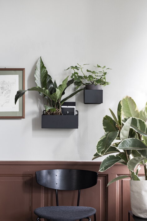 Malý čierny nástenný kvetináč s izbovou rastlinou na stene v predsieni
