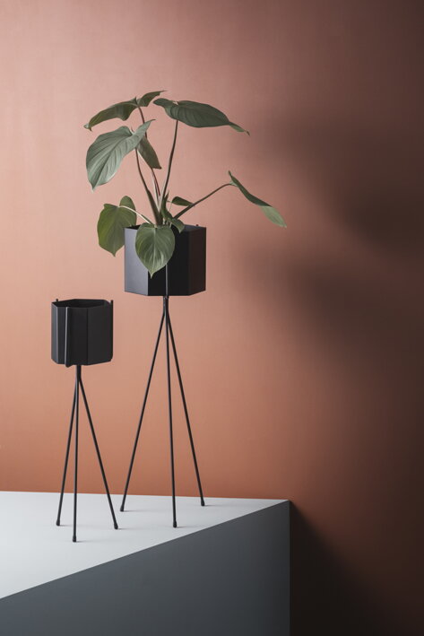 Čierny kovový kvetináč v tvare šesťuholníka s izbovou rastlinou na trojnožke