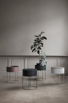 Kolekcia Plant Box