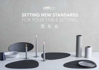 LIND DNA Presentation
