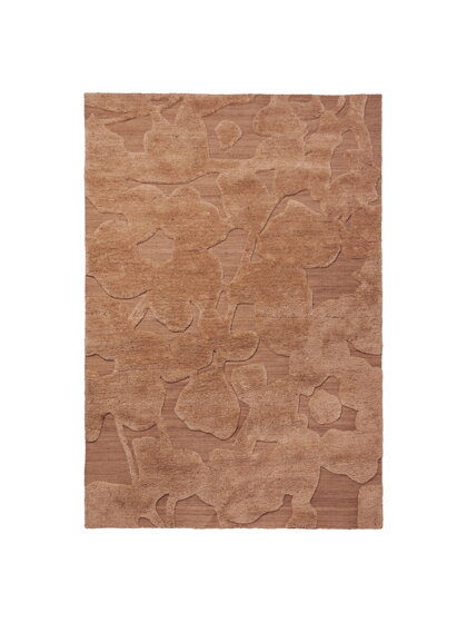 Koberec Cilla Tan, 170 x 240 cm – hnedý