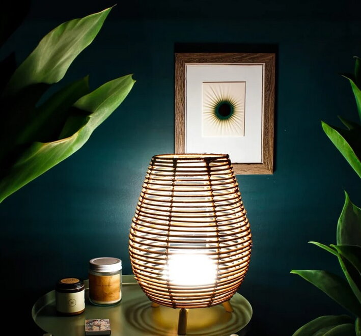 Stolová lampa položená na stole spolu s dózami s krémom vo večernej atmosfére obklopená izbovými rastlinami