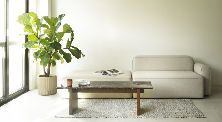 Konferenčný stolík vo svetlej obývačke pred bielou pohovkou a izbovou rastlinou