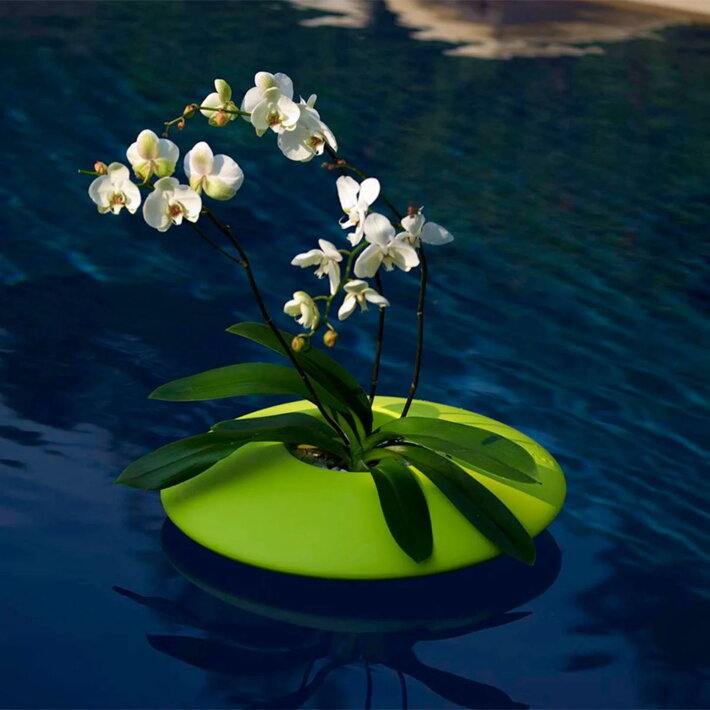 Veľký zelený plávajúci kvetináč s orchideou v jazierku