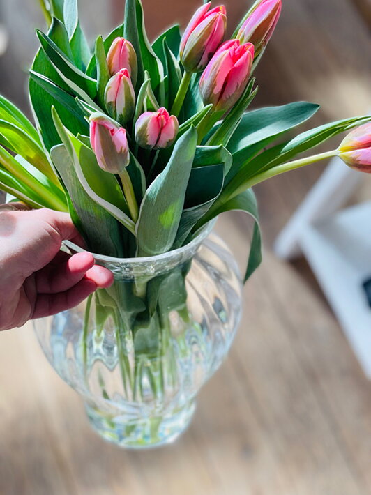 Číra sklenená váza s ružovými tulipánmi