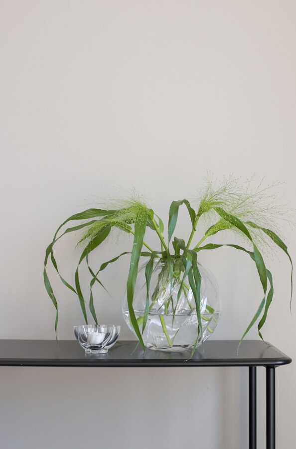 Twist Clear teamécses tartó – átlátszó