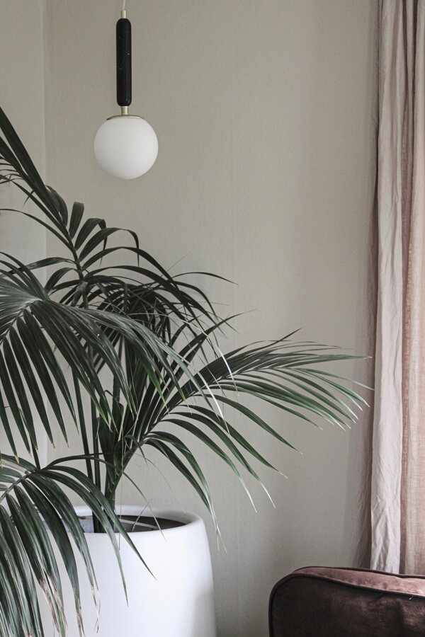 Závesná lampa Torrano s masívnou čiernou mramorovou základňou a s jemným tienidlom z bieleho opálového skla, nad veľkou izbovou palmou.