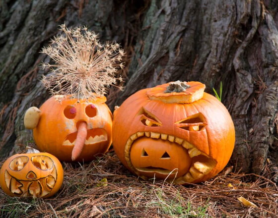 Halloween: Tipy a triky na najkrajšiu tekvicu Halloween: Tipy a triky na najkrajšiu tekvicu