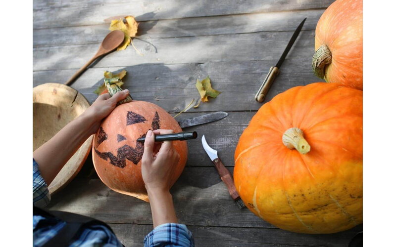 Jesenná halloweenska nálada: Tipy a triky na najkrajšiu vyrezávanú tekvicu