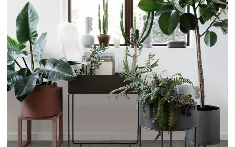 Pripravte svoj domov či kanceláriu na jar v minimalistickom štýle